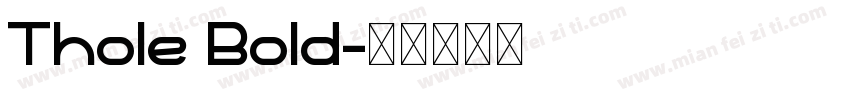 Thole Bold字体转换